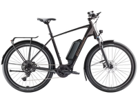 Rower elektryczny trekkingowy Diamant Zing Trip Core (z wysoką ramą)